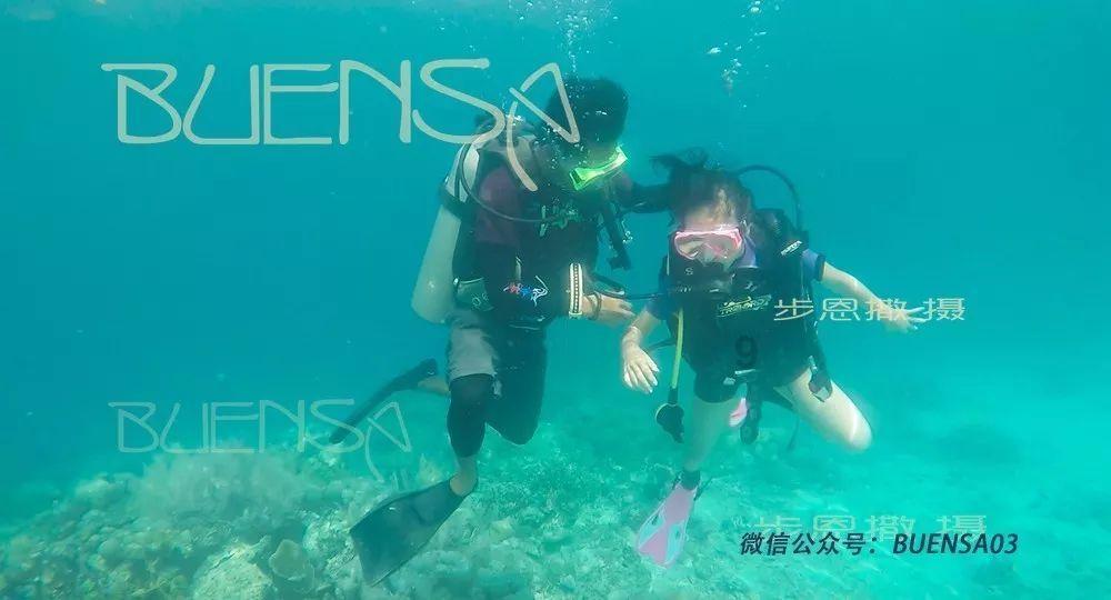蛇蛇争霸